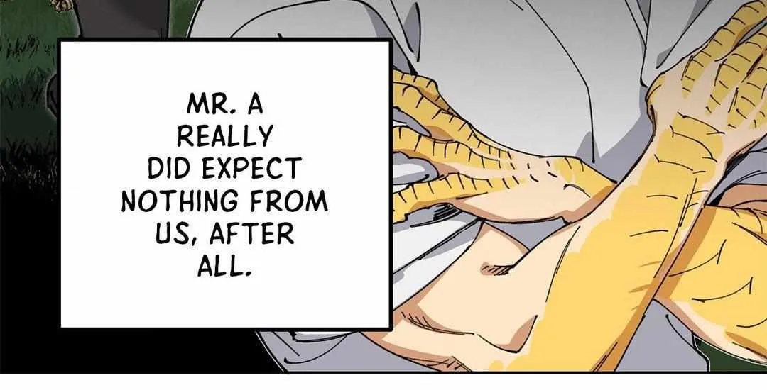 Mr.A