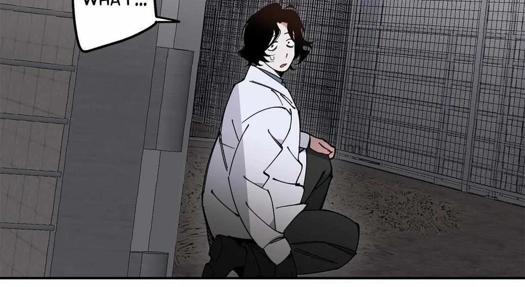 Mr.A