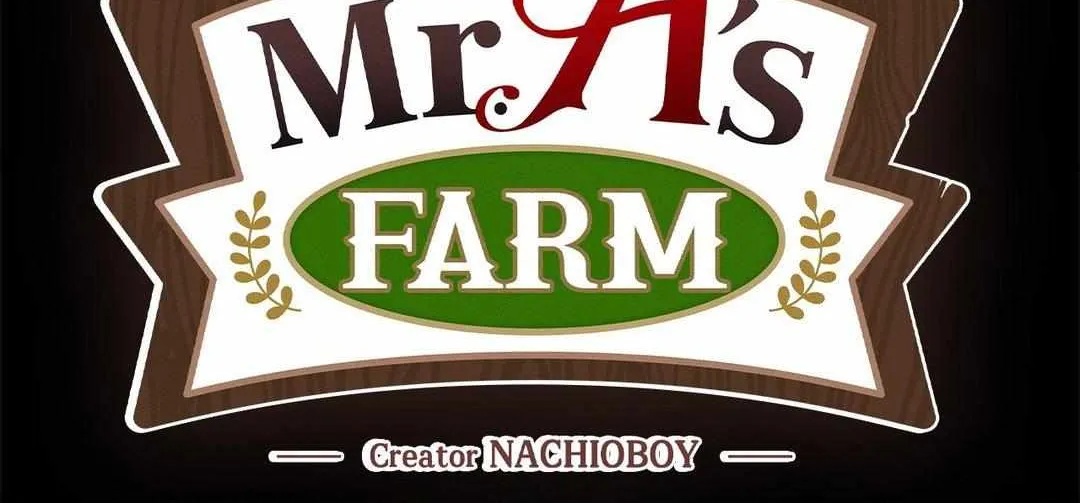 Mr.A