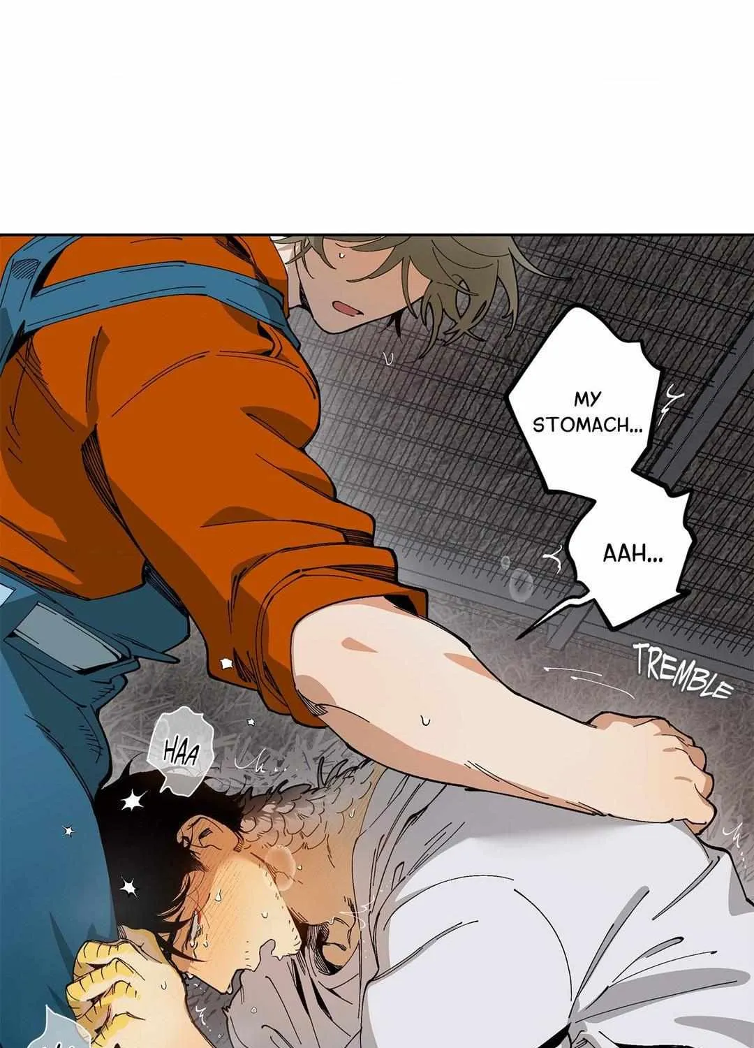 Mr.A