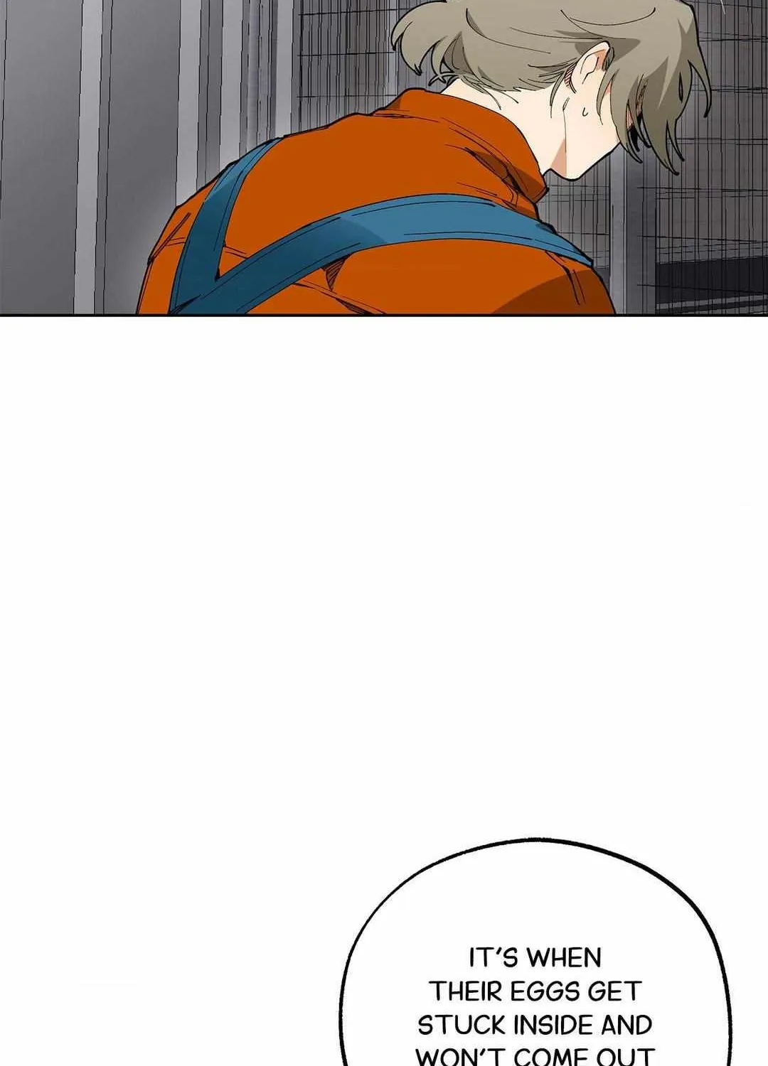 Mr.A