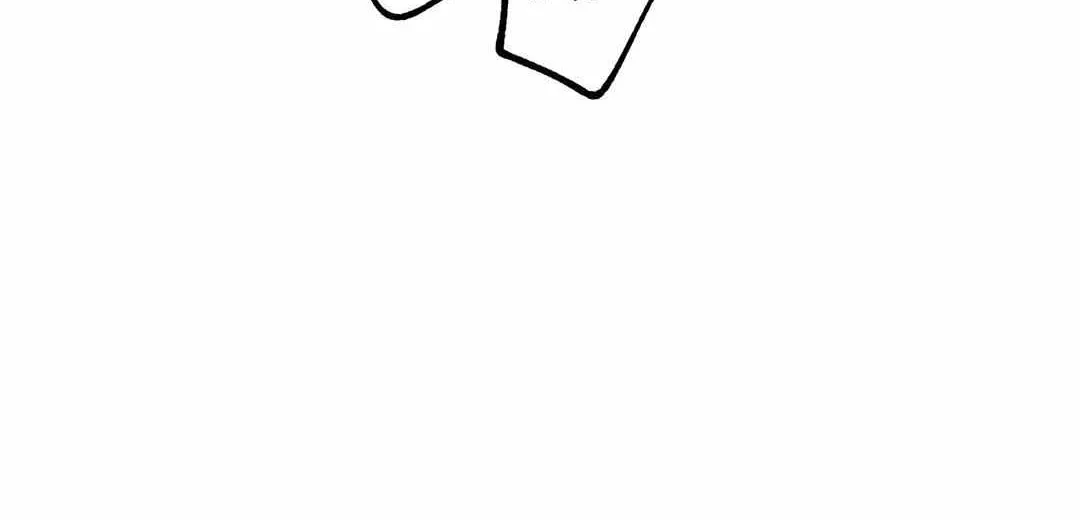 Mr.A