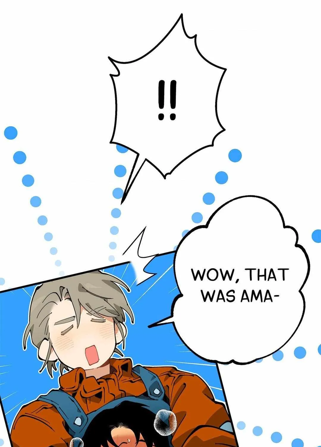 Mr.A