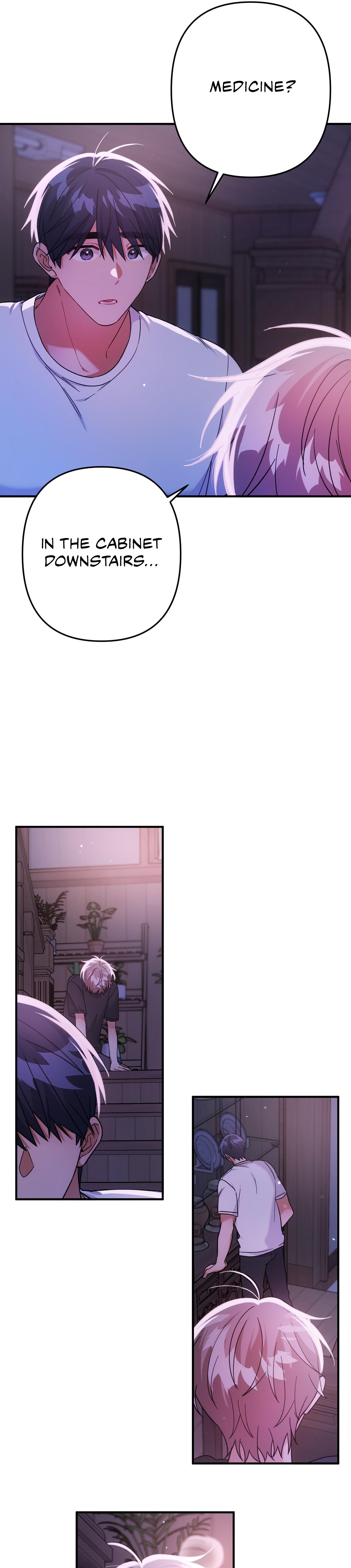Mr. Do Hoon of the Rose Mansion Chapter 21.1 page 20 - 