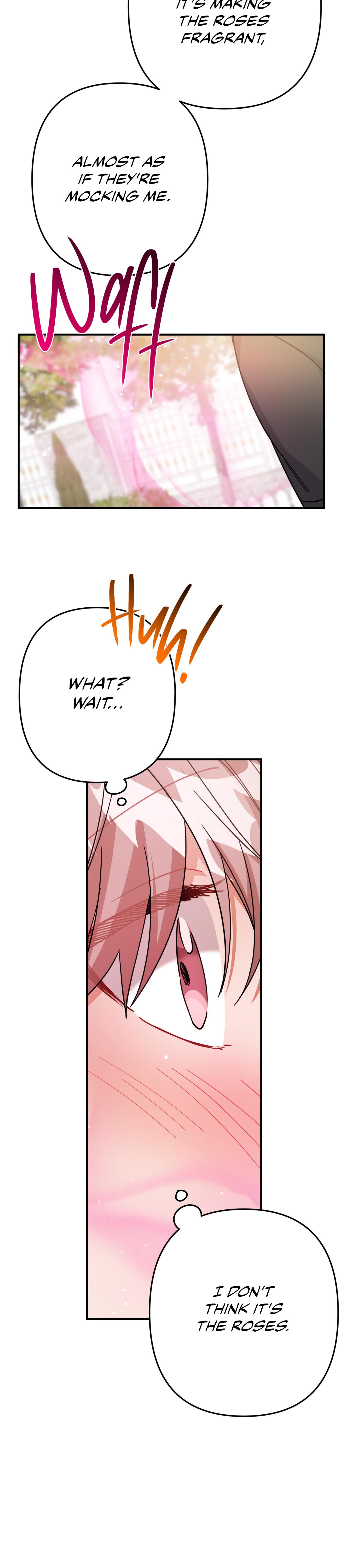Mr. Do Hoon of the Rose Mansion Chapter 24.1 page 15 - 