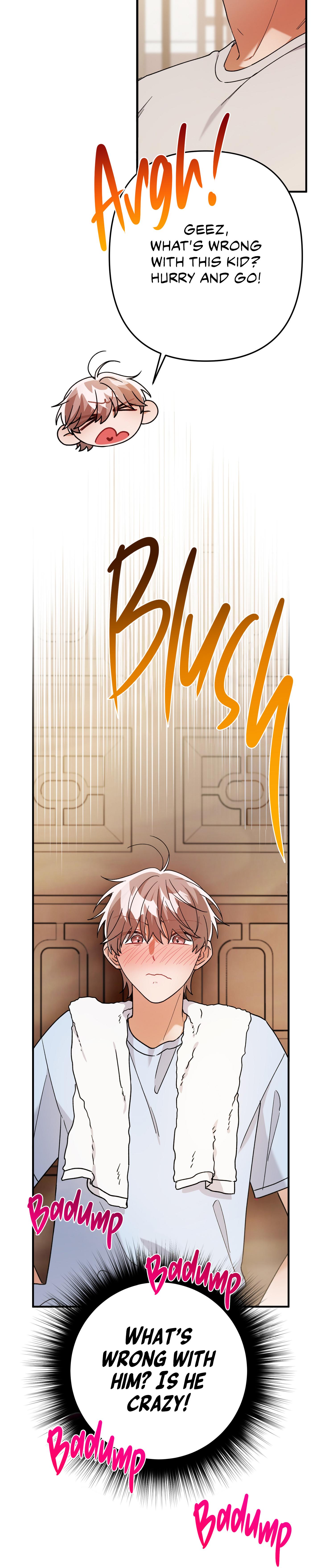 Mr. Do Hoon of the Rose Mansion Chapter 26.1 page 27 - 