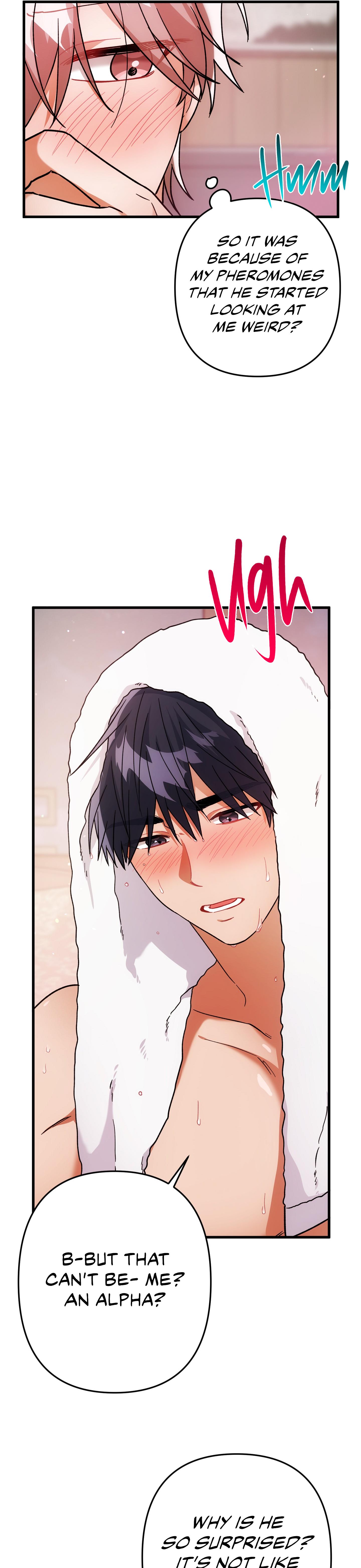 Mr. Do Hoon of the Rose Mansion Chapter 27.1 page 22 - 