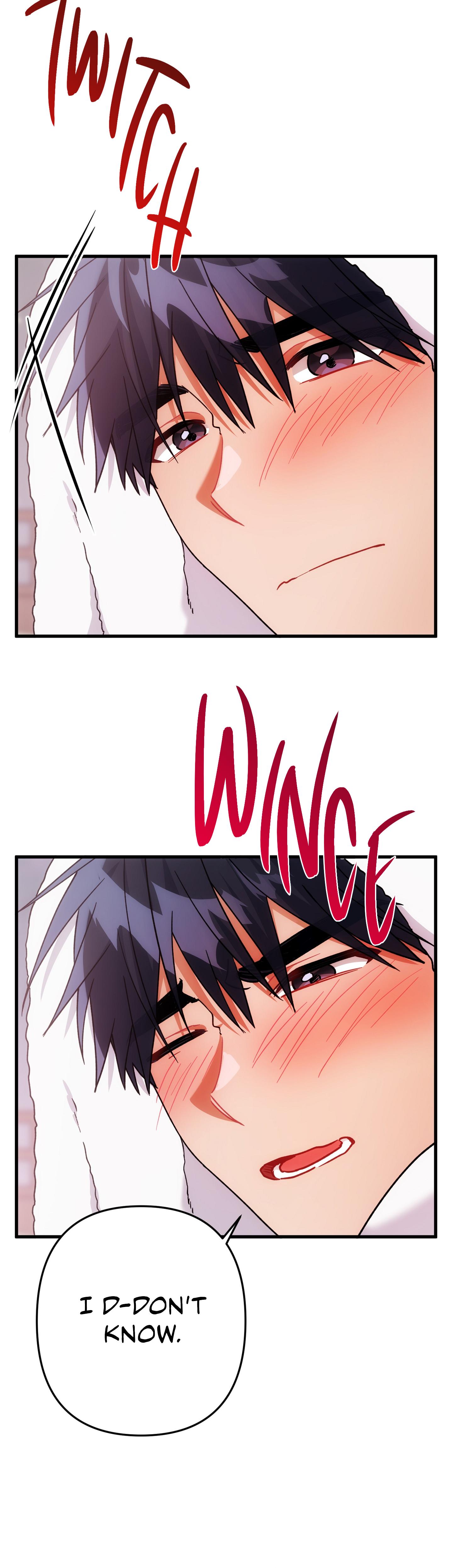 Mr. Do Hoon of the Rose Mansion Chapter 27.1 page 31 - 
