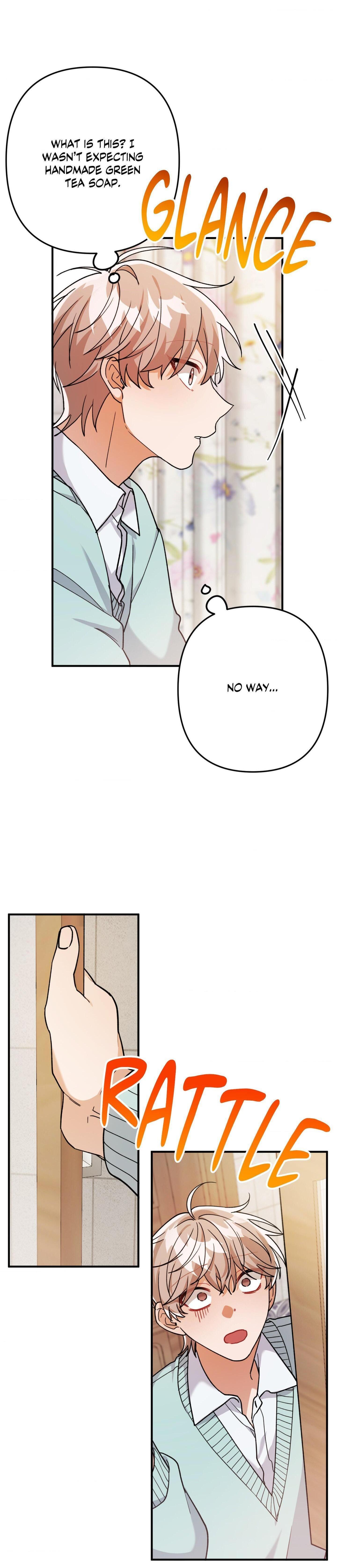 Mr. Do Hoon of the Rose Mansion Chapter 27.5 page 14 - 