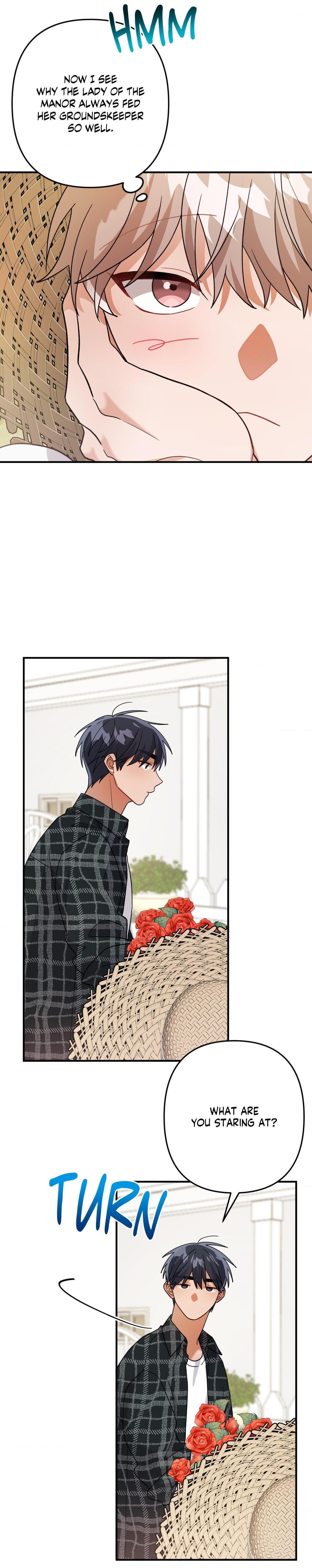 Mr. Do Hoon of the Rose Mansion Chapter 27.9 page 13 - 