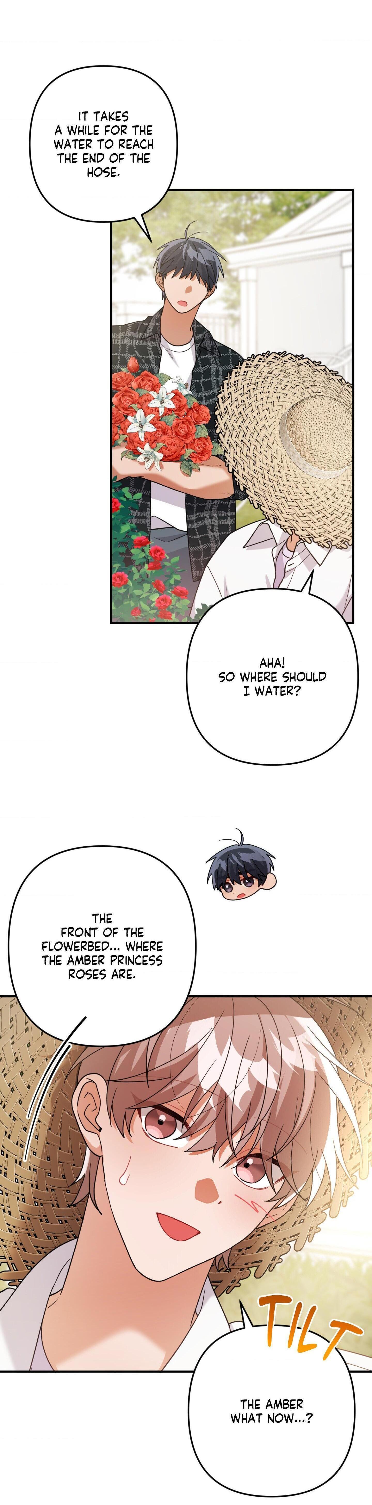 Mr. Do Hoon of the Rose Mansion Chapter 27.9 page 17 - 