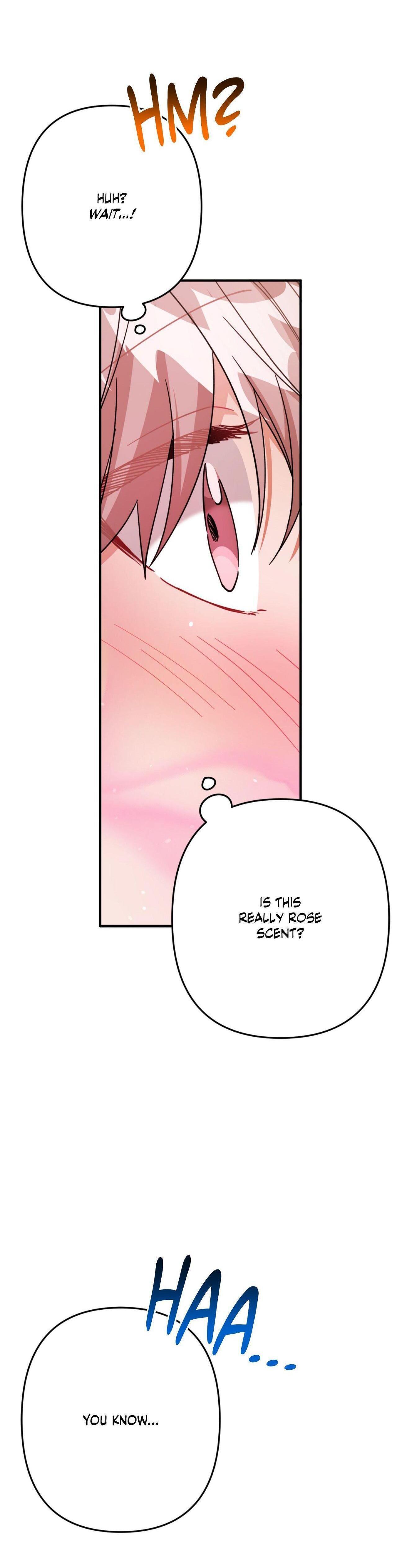 Mr. Do Hoon of the Rose Mansion Chapter 29.5 page 11 - 