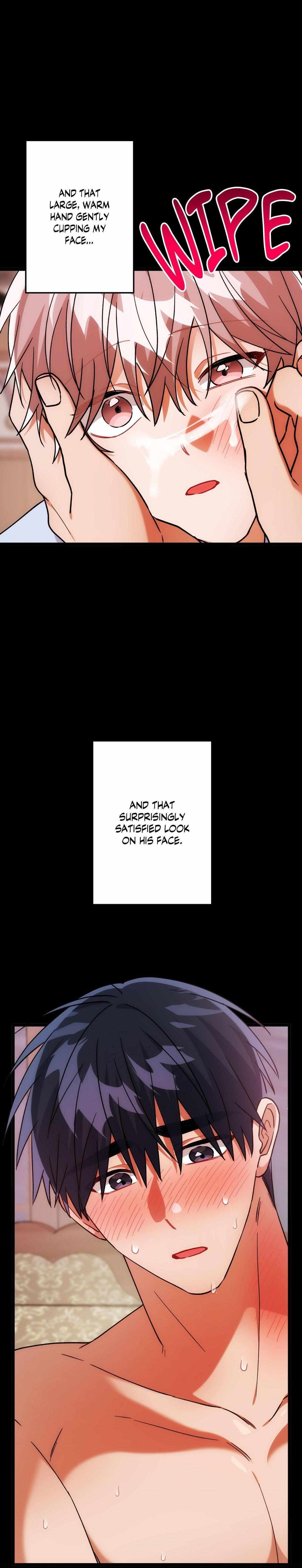 Mr. Do Hoon of the Rose Mansion Chapter 32 page 17 - 