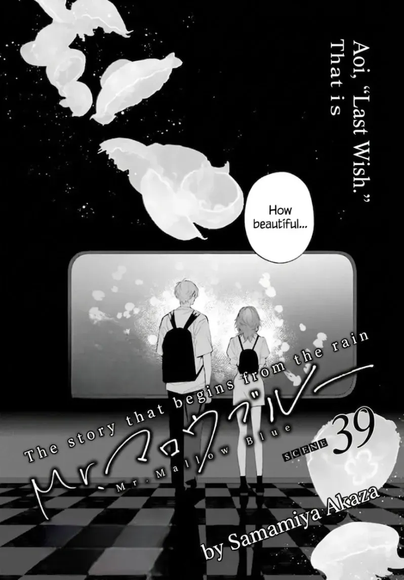 Mr. Mallow Blue Chapter 39 page 1 - 