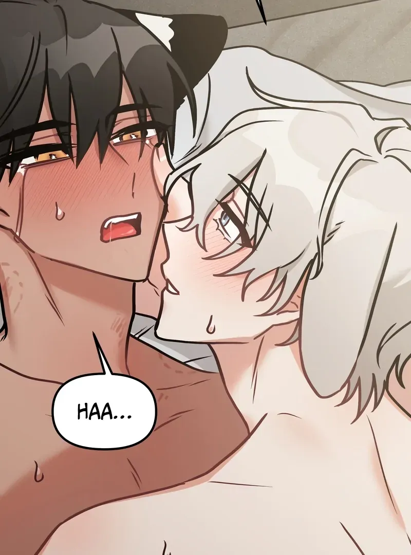 Mr. Tiger, Thank you for the meal Chapter 10 page 79 - 