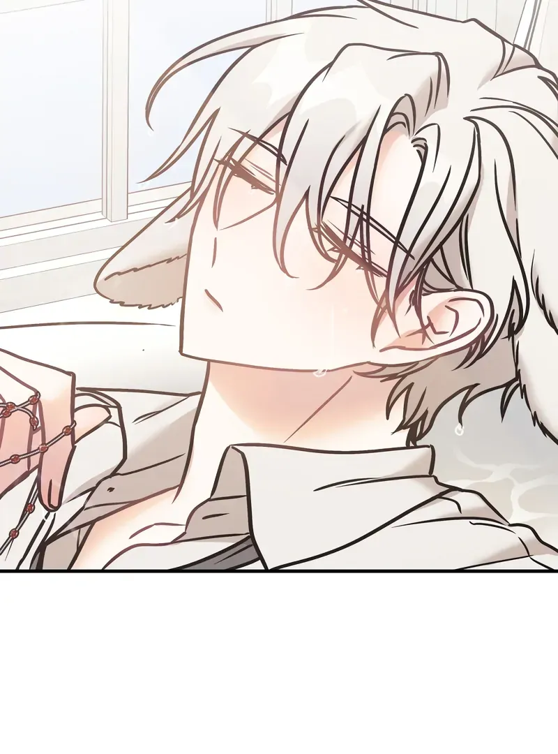 Mr. Tiger, Thank you for the meal Chapter 15 page 11 - 