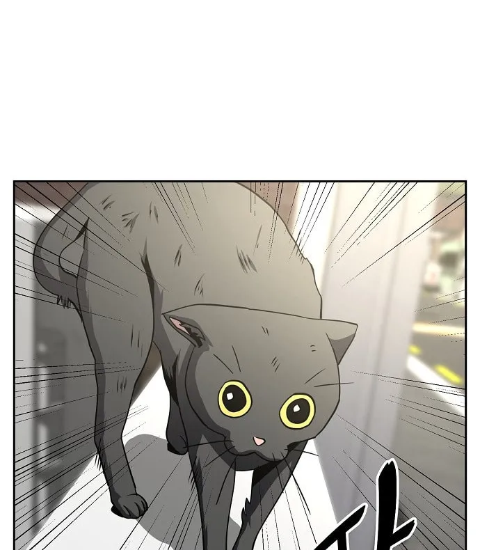 Mujikbaeksu Gye Baek-Sun Chapter 16 page 47 - 