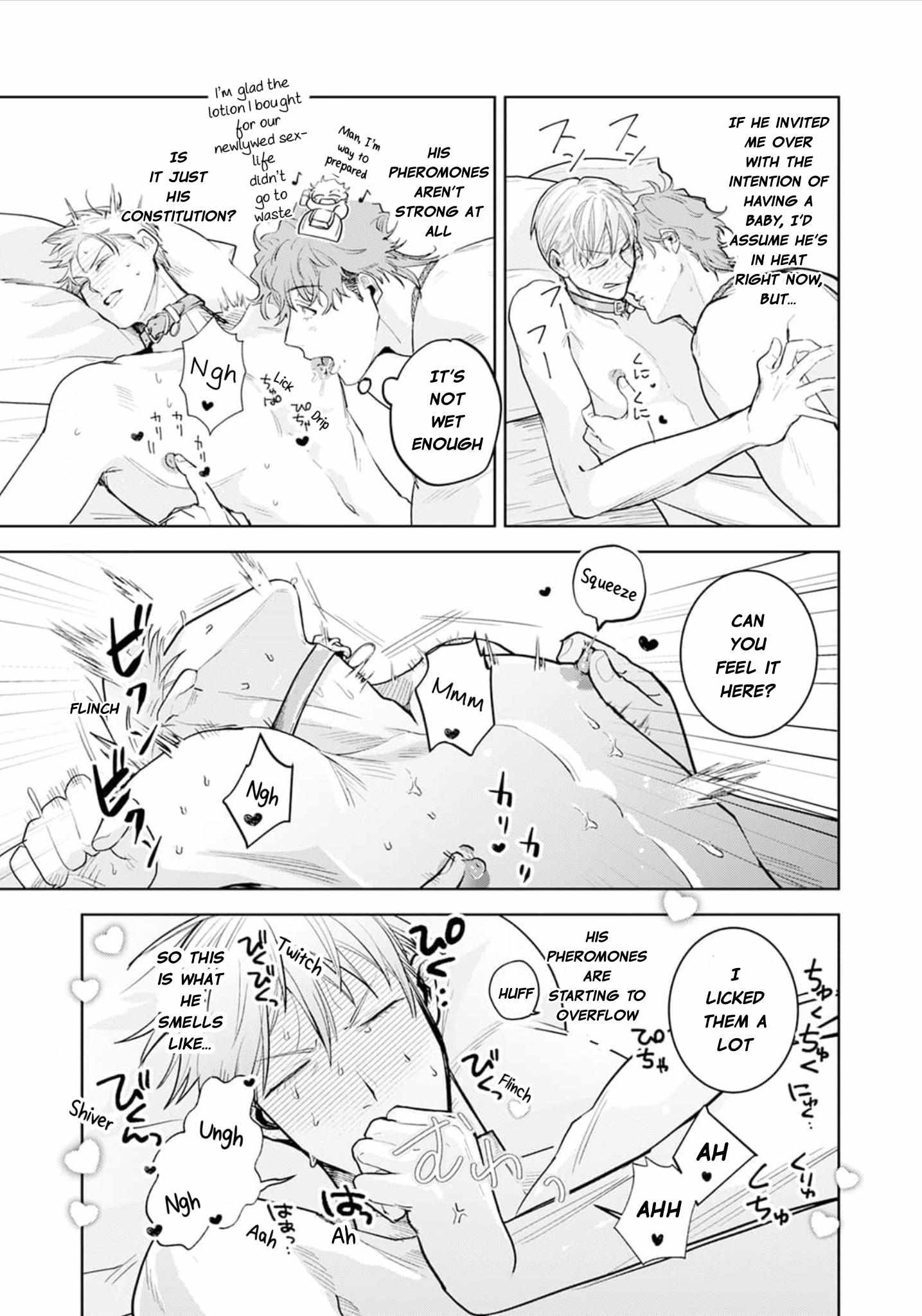 Mukoiri Alpha wa Ai Shiru Chapter 1 page 33 - 