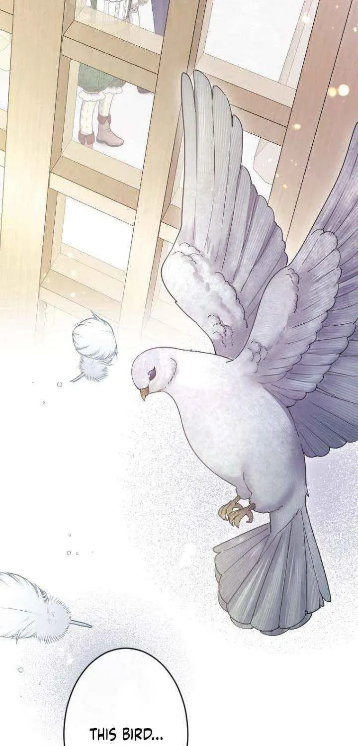 Munou na Mamahaha desu ga, Kazoku no Dekiai ga Tomarimasen! Chapter 116 page 10 - 