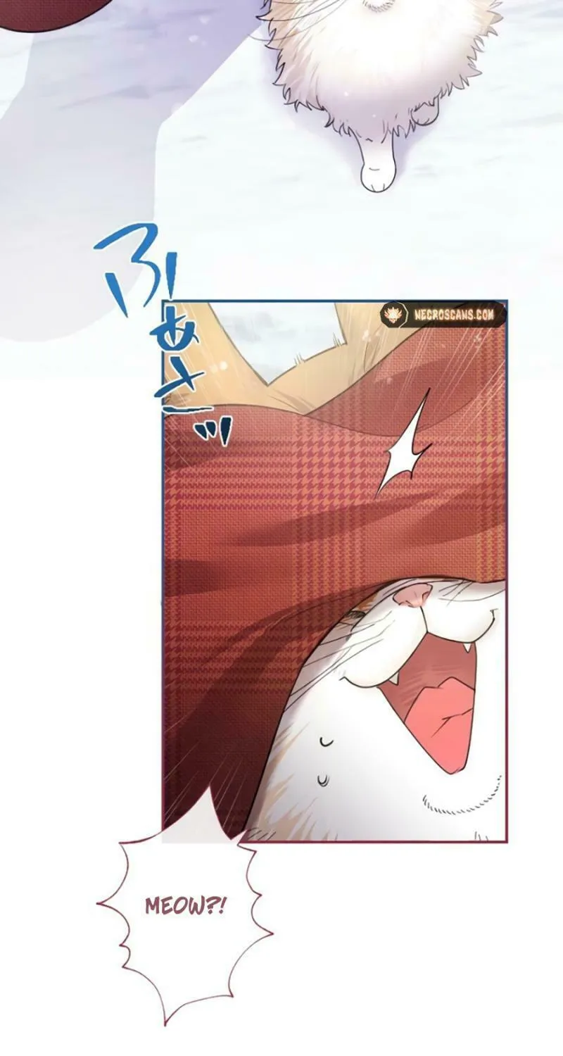 Munou na Mamahaha desu ga, Kazoku no Dekiai ga Tomarimasen! Chapter 18 page 42 - 