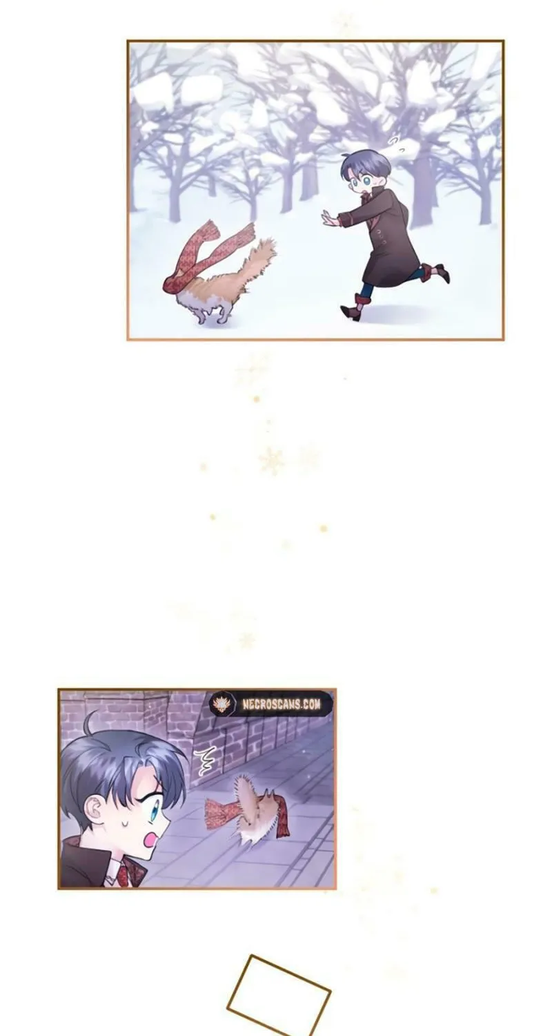 Munou na Mamahaha desu ga, Kazoku no Dekiai ga Tomarimasen! Chapter 18 page 45 - 
