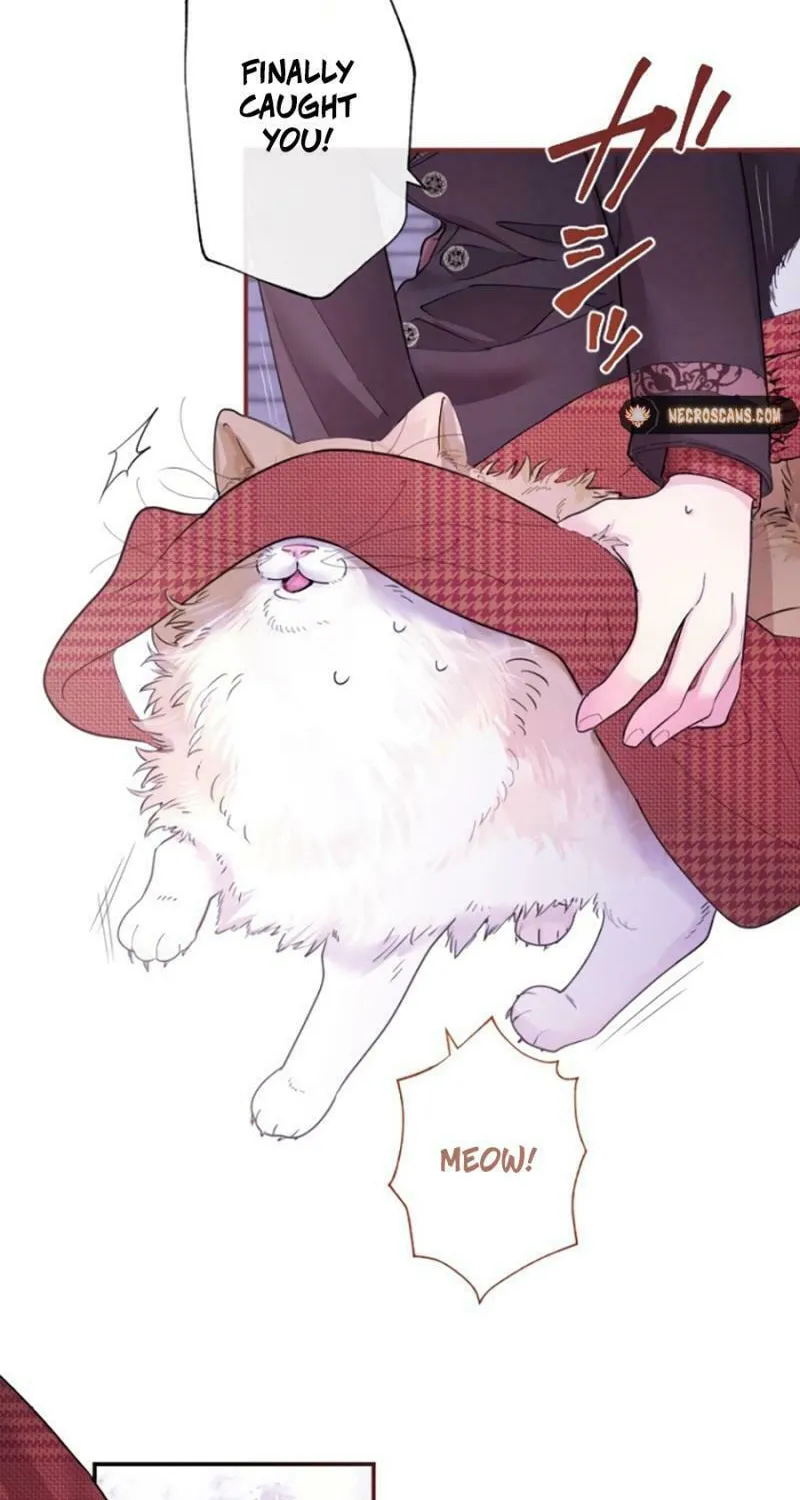 Munou na Mamahaha desu ga, Kazoku no Dekiai ga Tomarimasen! Chapter 18 page 48 - 