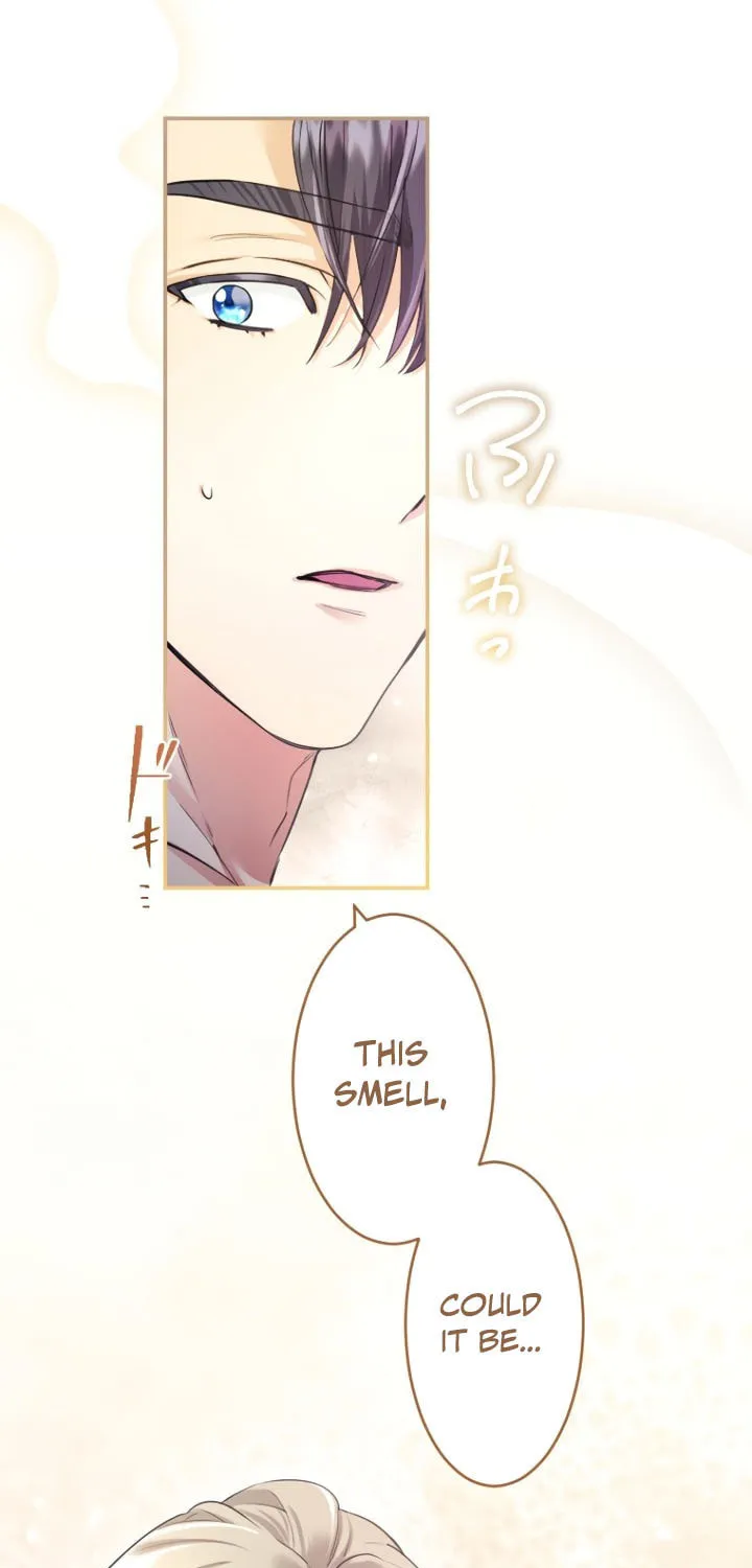 Munou na Mamahaha desu ga, Kazoku no Dekiai ga Tomarimasen! Chapter 25 page 78 - 