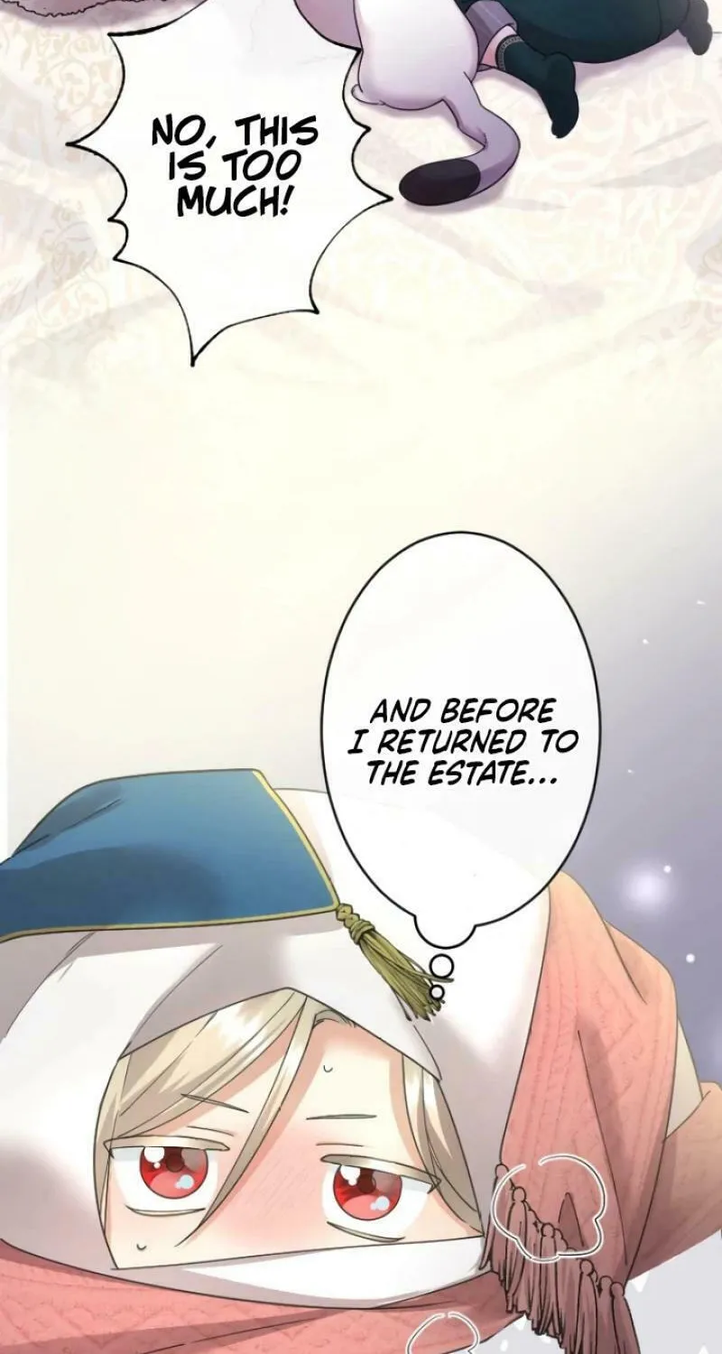 Munou na Mamahaha desu ga, Kazoku no Dekiai ga Tomarimasen! Chapter 39 page 28 - 