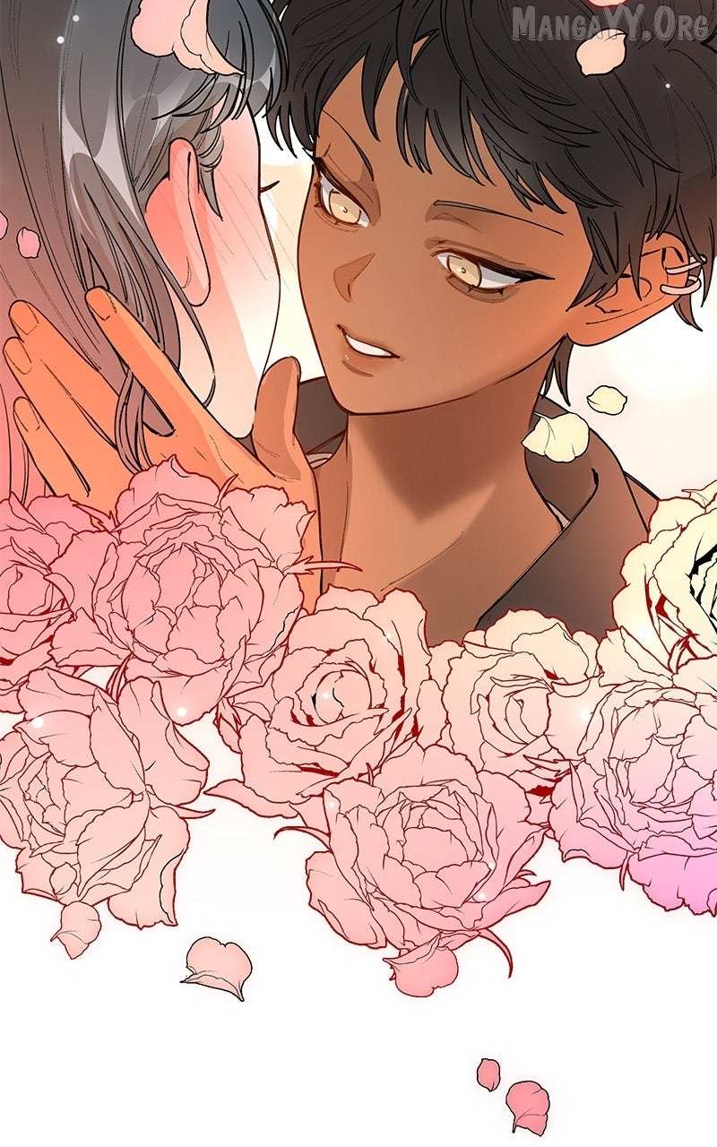 Murder Girlband Chapter 33 page 5 - 