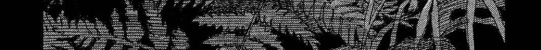 Mushishi Chapter 10 page 2 - 