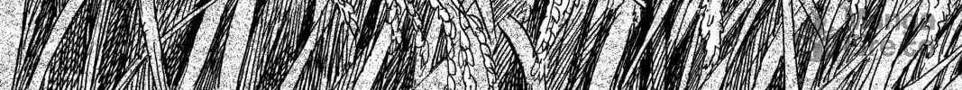 Mushishi Chapter 13 page 72 - 