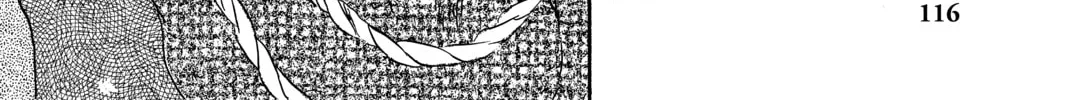 Mushishi Chapter 18 page 52 - 