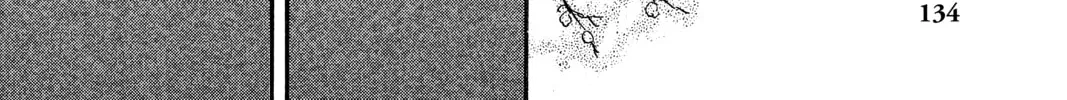 Mushishi Chapter 18 page 86 - 