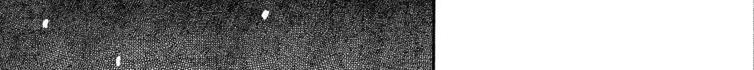 Mushishi Chapter 18 page 88 - 