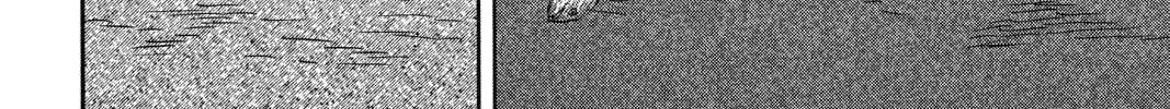 Mushishi Chapter 27 page 62 - 