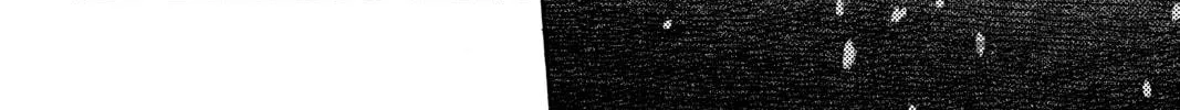 Mushishi Chapter 29 page 50 - 
