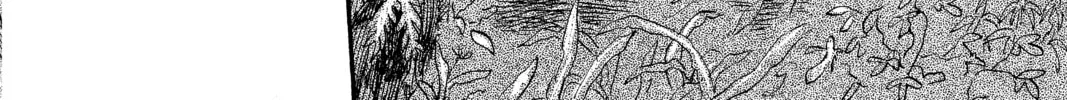 Mushishi Chapter 3 page 46 - 