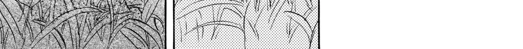 Mushishi Chapter 33 page 82 - 