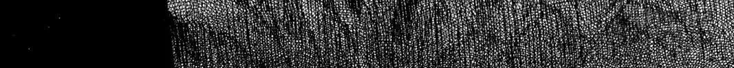 Mushishi Chapter 33 page 84 - 