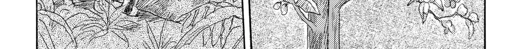 Mushishi Chapter 34 page 14 - 