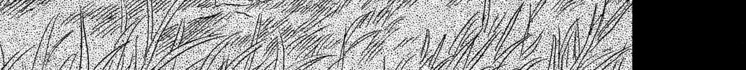 Mushishi Chapter 35 page 56 - 