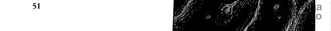 Mushishi Chapter 37 page 6 - 
