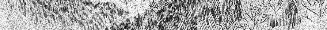 Mushishi Chapter 37 page 62 - 