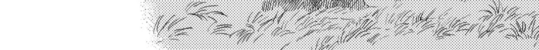 Mushishi Chapter 42 page 76 - 