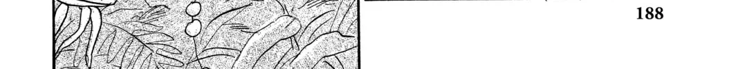 Mushishi Chapter 45 page 4 - 