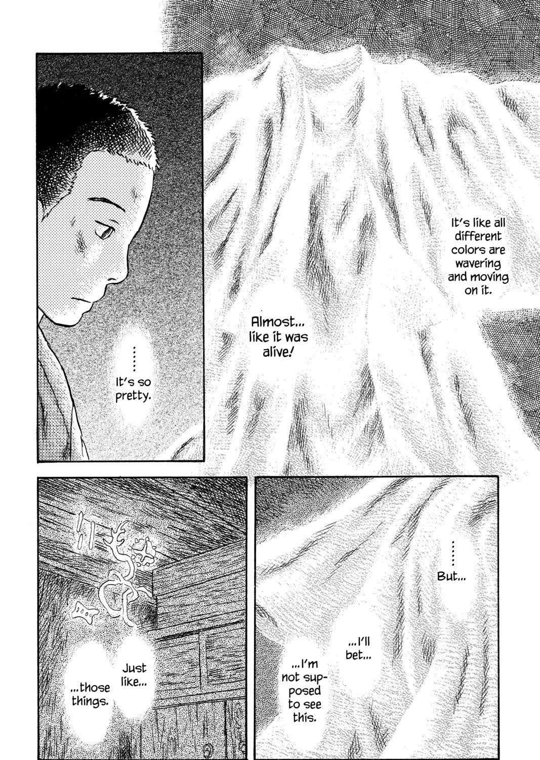 Mushishi Chapter 46 page 17 - 