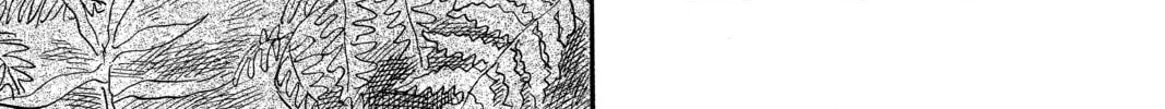 Mushishi Chapter 49 page 16 - 
