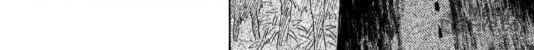 Mushishi Chapter 49 page 66 - 