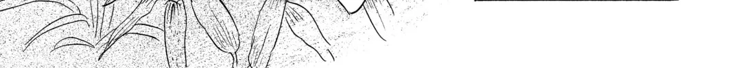 Mushishi Chapter 49 page 68 - 