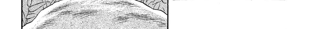 Mushishi Chapter 50 page 74 - 